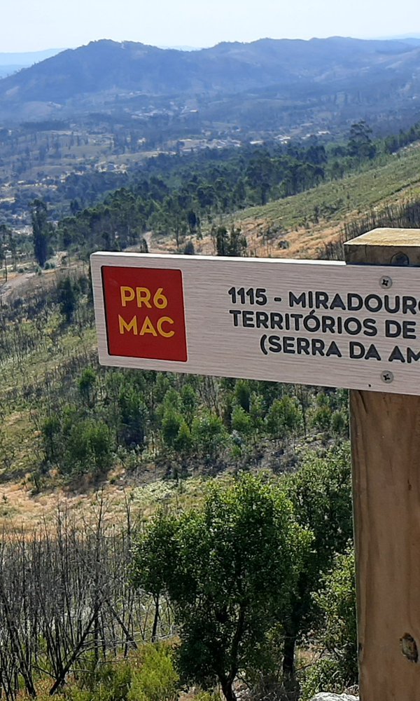 PR6-Mac-Rota da Amêndoa