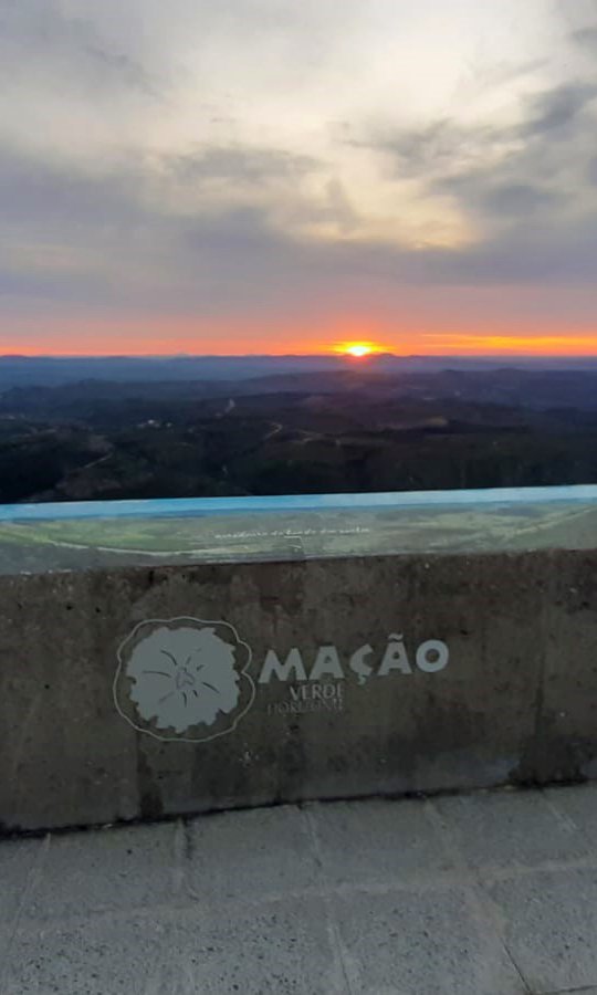 Articles of Association