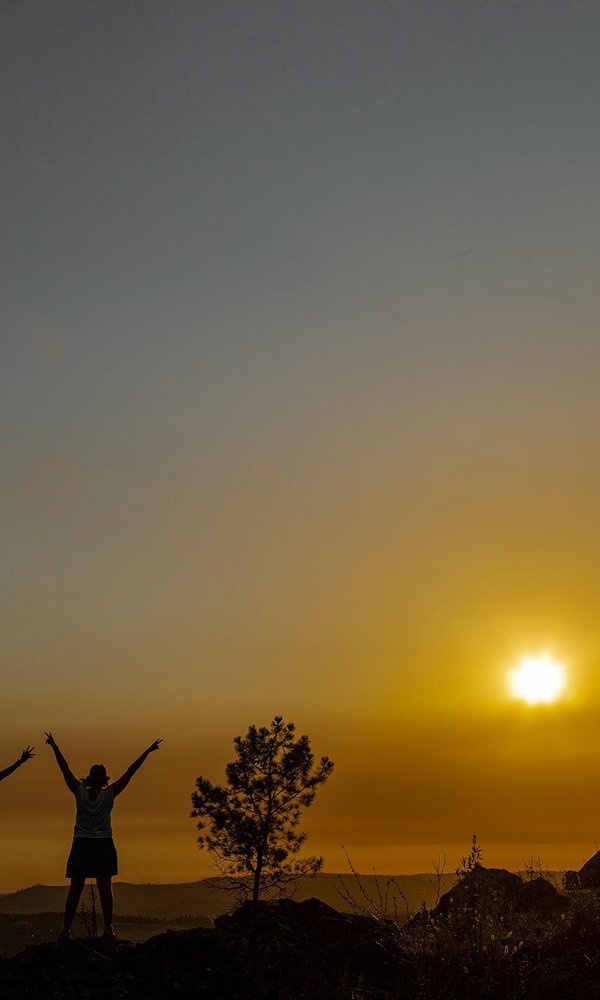 Walking trails videos