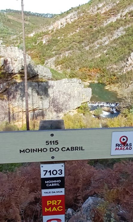 Informação Contabilistica